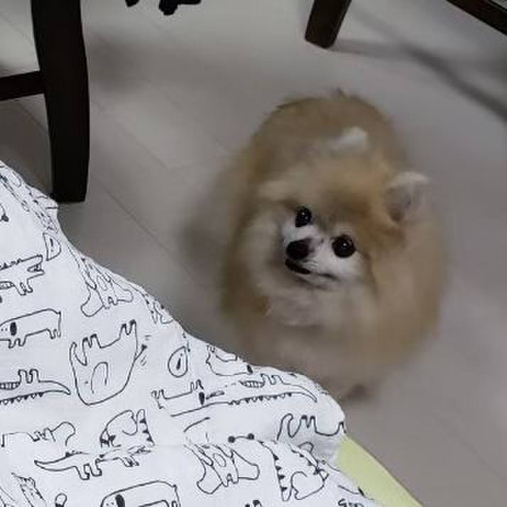 6a0b2ff7 7569 4f99 8dc3 abc055e5c0f5 1663474001702