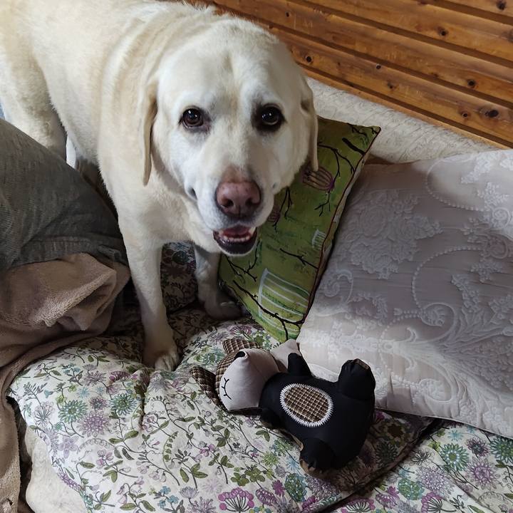 6a0b414f 2974 4ed0 8313 3202c84b28ea 1734419726987