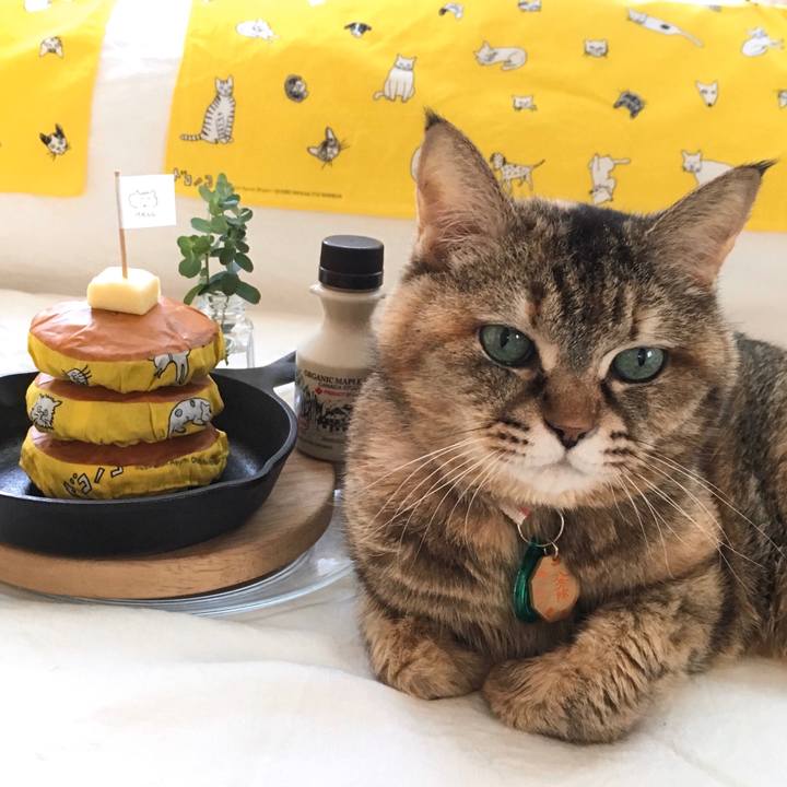 6a0b5e0f 65b2 4cd5 bbe6 9752f23c940f 1587519186073