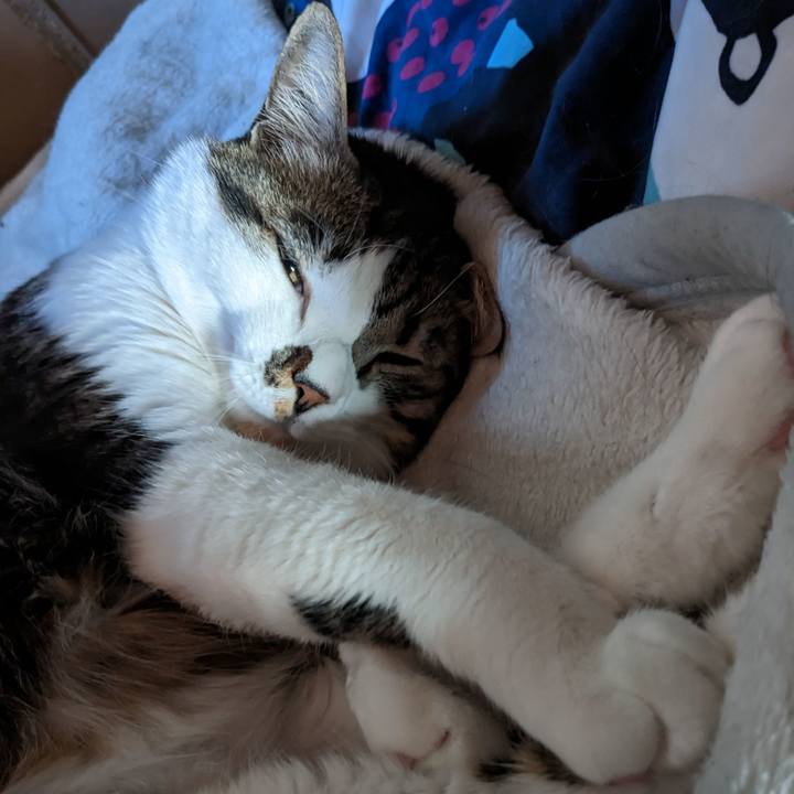 6a0b644c b28f 406c 953a df64bc78eb9b 1677291355840