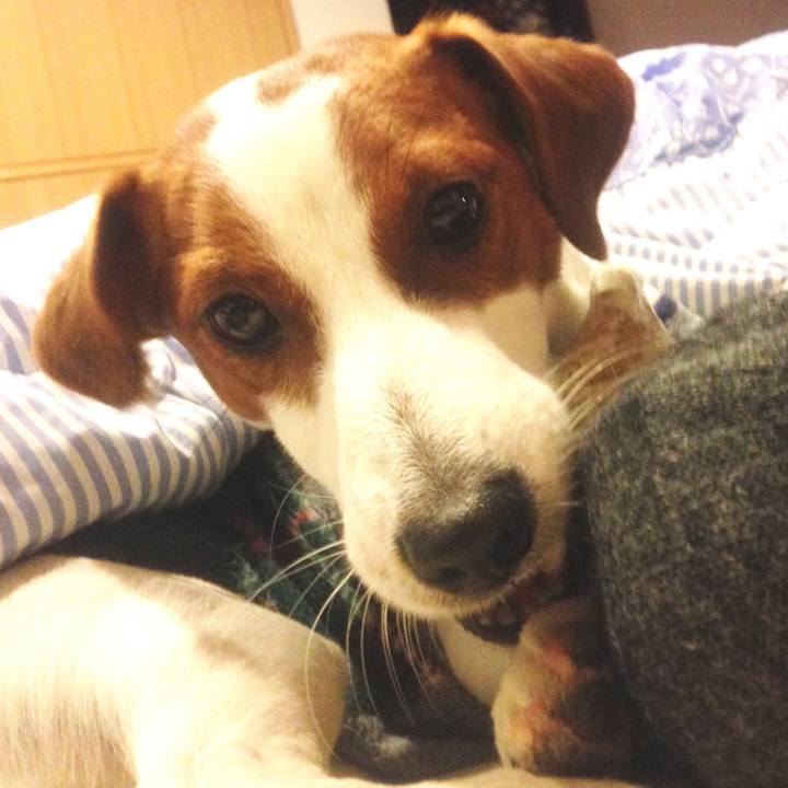 6a0babfa dc2b 4610 bac9 b566033c0813 1518081559346