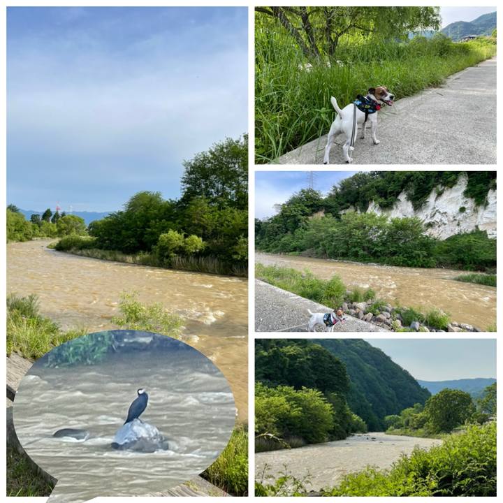 6a0bafb3 790d 4472 ae02 d8388f61f4af 1717058414254