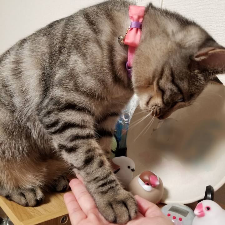 6a0bc6d5 d662 4492 81f7 e0b808789903 1682437033852