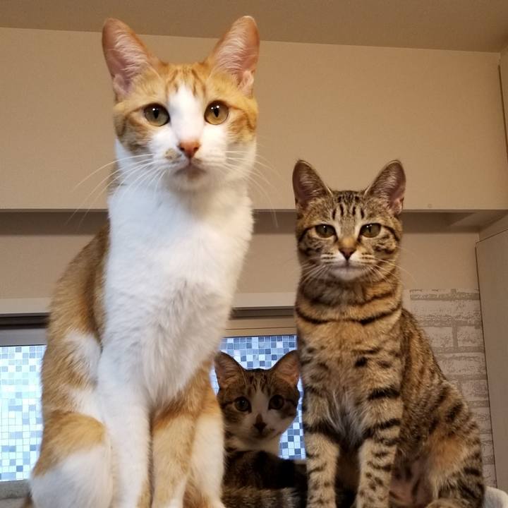 6a0bc78d 9506 48d9 81ab cfd762a1a86f 1549269413427