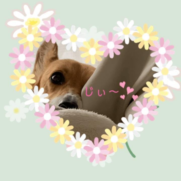 6a0bcf6a c6b9 4cc4 8e02 41523c2fbd6e 1759490676365