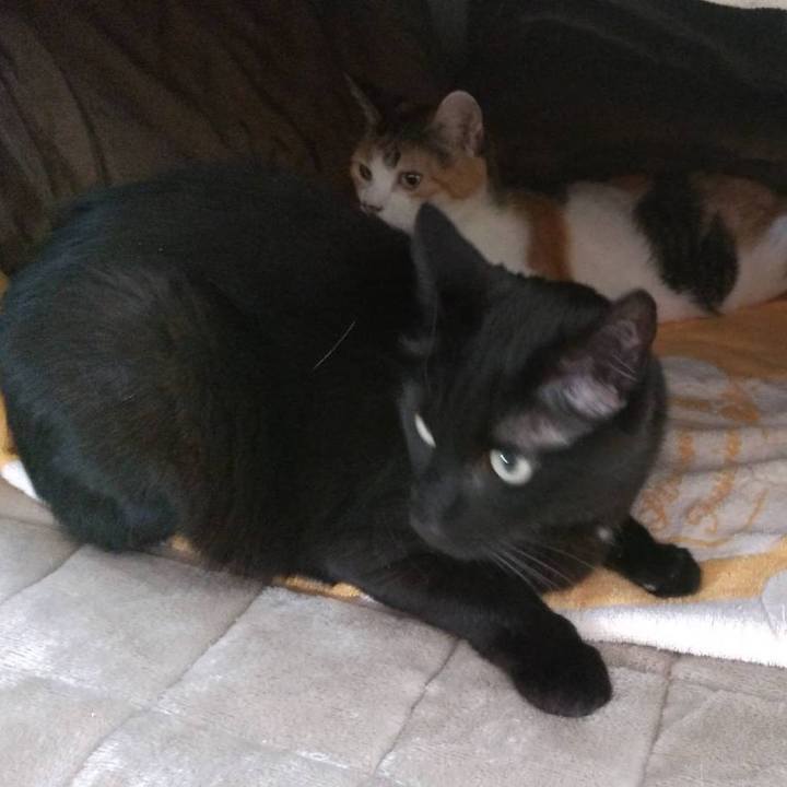 6a0be120 8099 4e3d 93a6 ca91be72b260 1706954321870