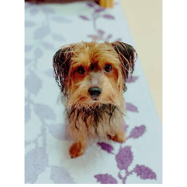 6a0bf057 6afc 46ad 88e6 58238bdae9f9 1555474634781