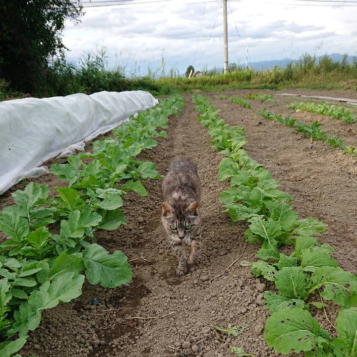 6a0c1eb5 b245 4737 aae2 364be034f2ad 1569224601467