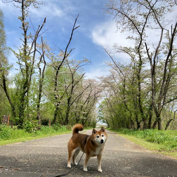 6a0c9dd5 f3cc 49cf b004 d7d950b34cfd 1712985593479