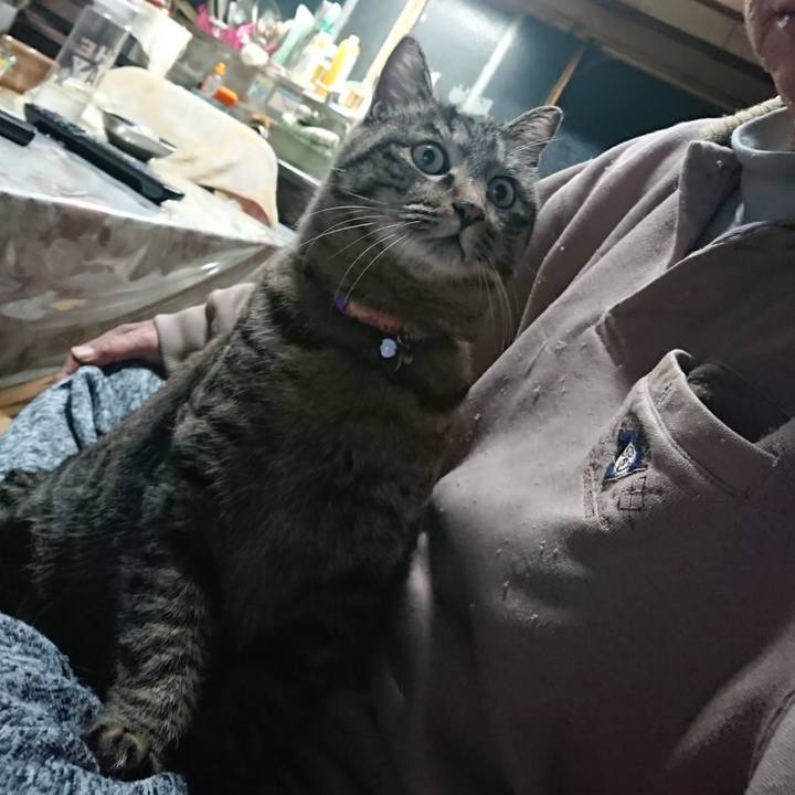 6a0cc13f a644 4f59 8911 72b1afa6b7f9 1644575544201