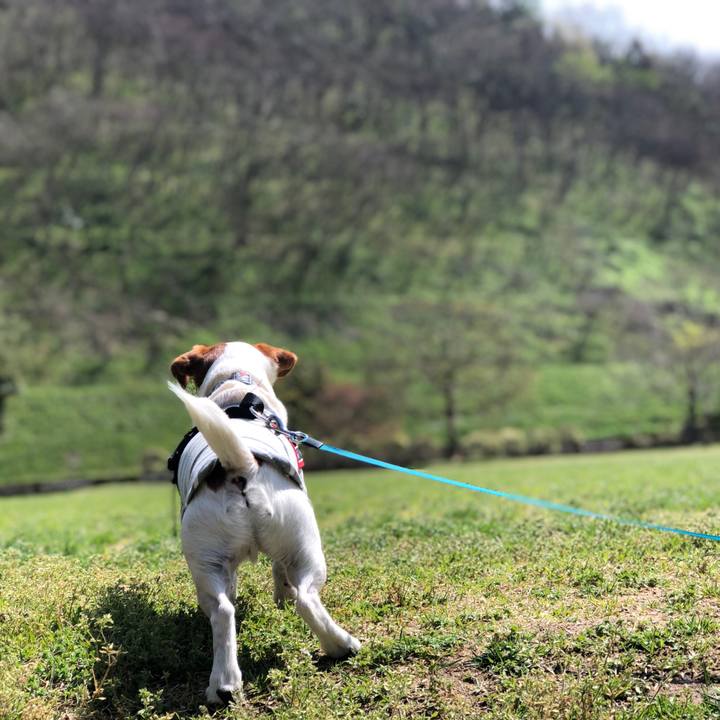 6a0cdeb3 ba5e 4283 afaa b8299dea8c60 1617701909353