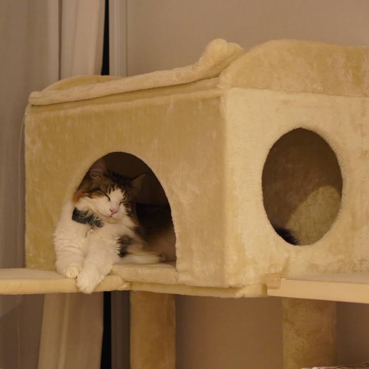 6a0d0506 c3eb 486c 9eb8 fa978b25e667 1625671275072