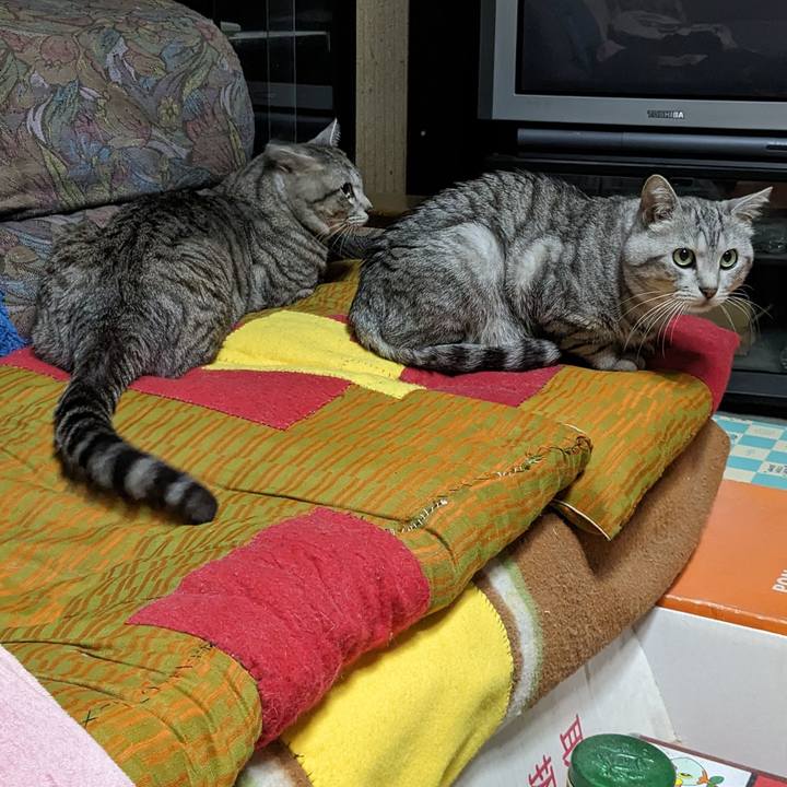 6a0d3802 ff3f 48cc ab0d 0b38f93eeef4 1712874866724