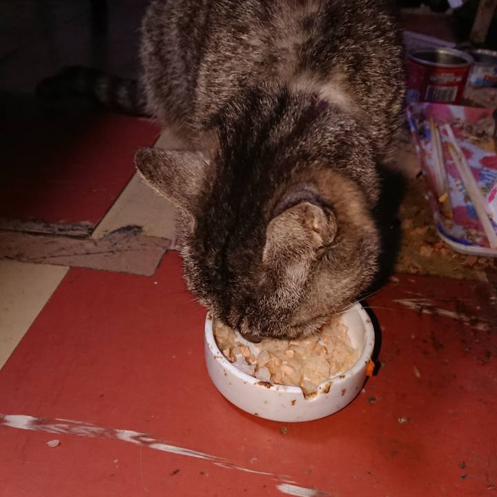 6a0d3979 812a 404c a791 624966a7c32e 1585166581329