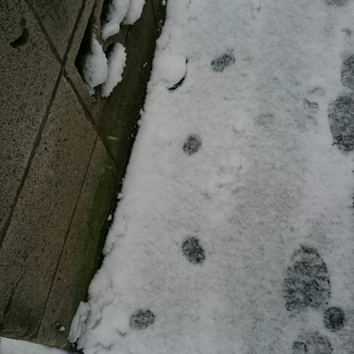 6a0dd3d8 eba2 4696 9a19 9111efbdeb89 1516606296146