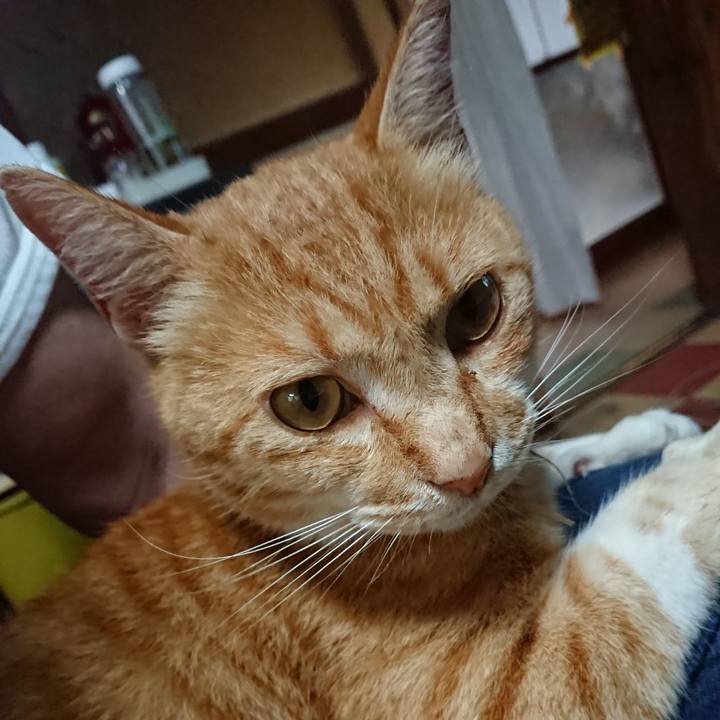 6a0def09 48a0 4dd7 bcef b948bcf2f804 1594331338275