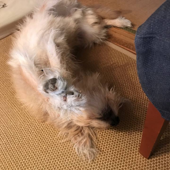 6a0e1e40 7fd8 4649 bd8f 63d68e25c8f8 1544056572922