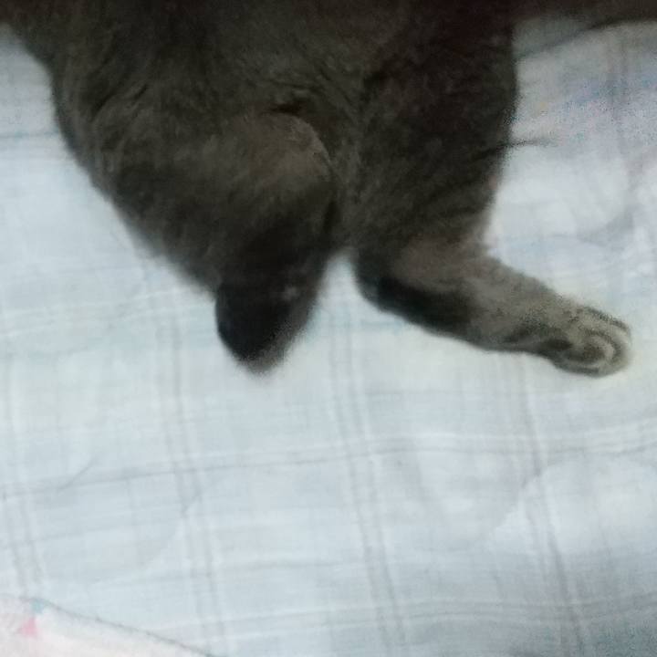 6a0e4cea 5f3b 4196 a3d6 88b85b154be4 1632058149206