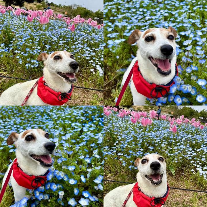 6a0e4fda 8735 4f20 b5b6 c135176f90c5 1777210763200