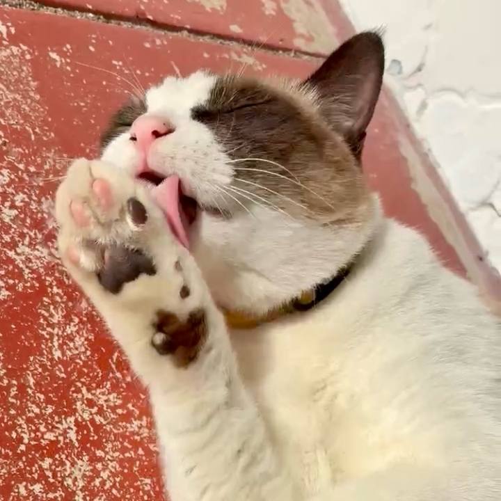 6a0e619e d882 433a bc6b 3e5e156c8f9a 1765074177412