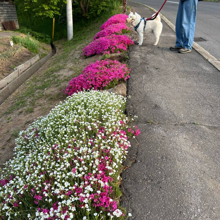 6a0e845a 9fe8 4571 8c7a f54c84498c07 1747430477867