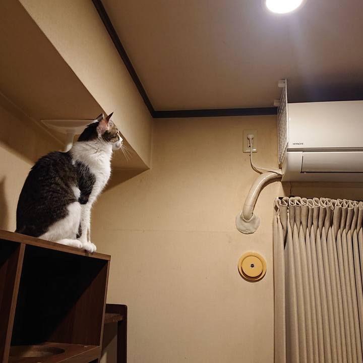 6a0ea7c4 9b2d 4f98 9025 bf45a9e9e397 1655642147476