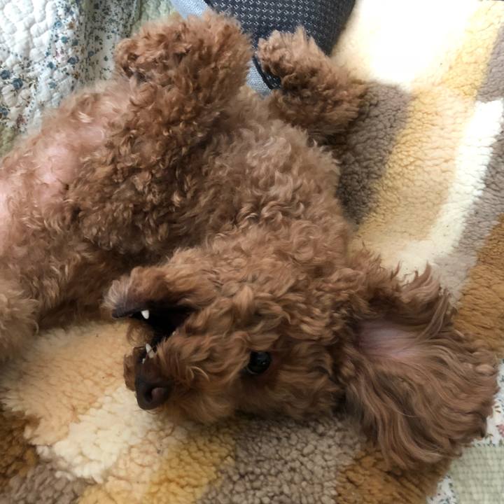 6a0f1462 8791 4bf0 bfbc 6e1e65c2f637 1514768278771