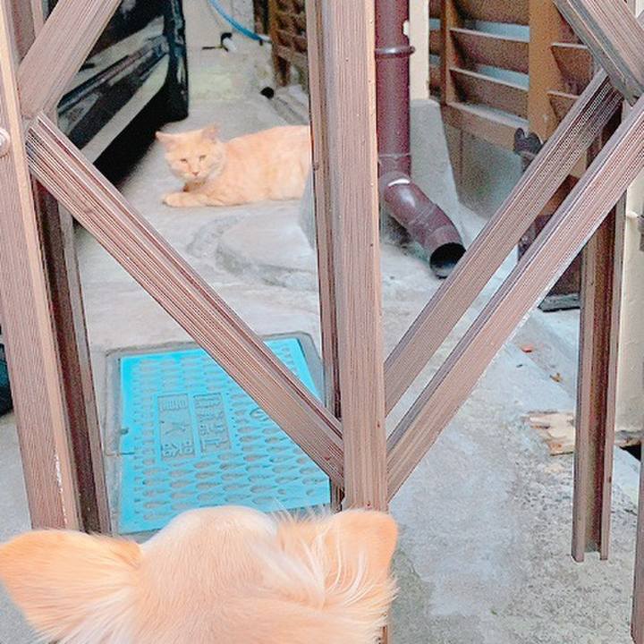 6a0f2035 3838 4c0c ada2 9a653d2f156e 1633436719091