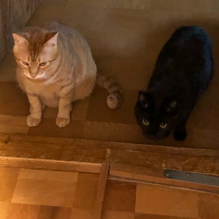 6a0f40d8 fd47 4a57 bb0e 677421318cbd 1567772812348