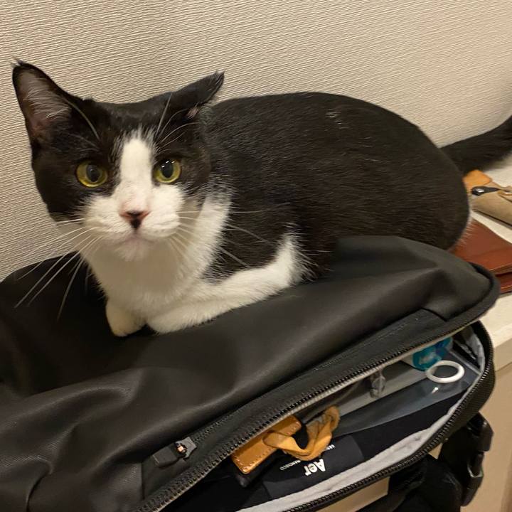 6a0f586f ce2a 4ccb 99d3 a3b4934a5958 1724496202832