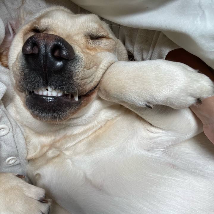 6a0f65a9 9c35 4f5f b238 897620a35b9b 1650765091566