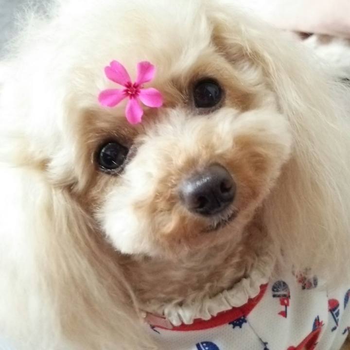 6a0f6c52 df8c 4c4e 8313 84ba79149380 1527159562535