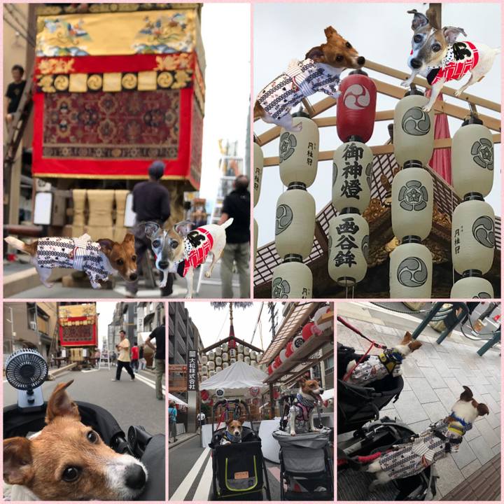 6a0f87a5 5f55 4501 8c61 1f715e88bd31 1594978970373