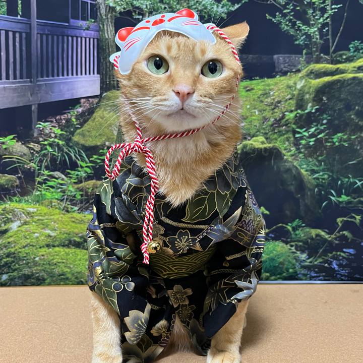 6a0f9a69 a6c5 4114 96bb b2321b5702e1 1690594127914