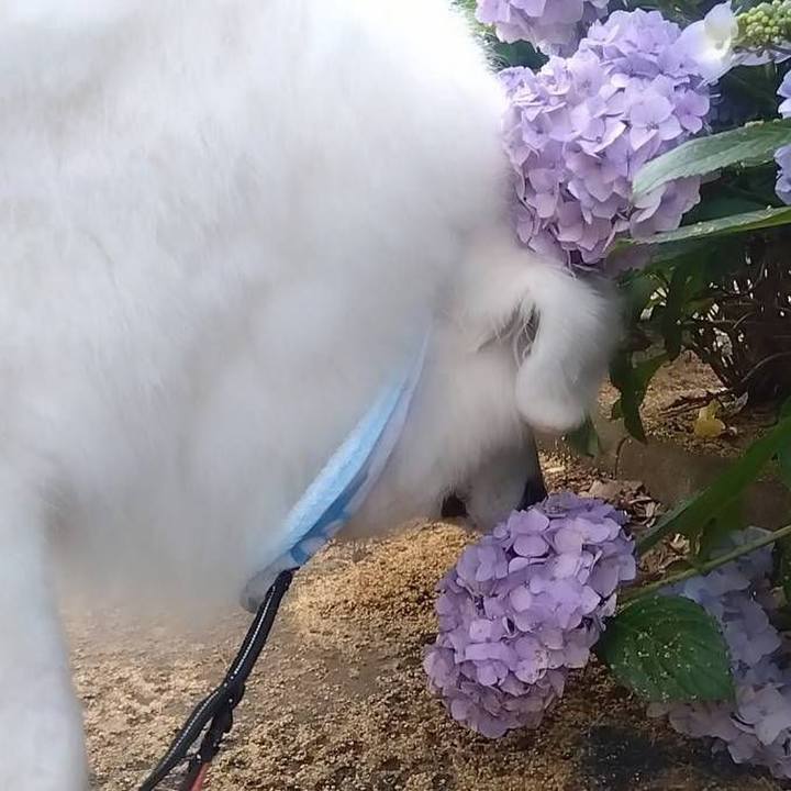 6a0faeb6 c598 4be2 91f9 0380eefb38d9 1687569293969