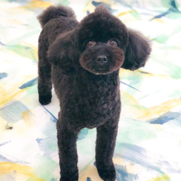 6a10040f 854f 48f3 abe3 2eb5fcb4929d 1589358621629