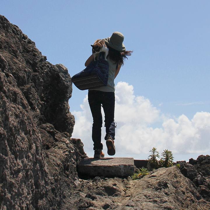 6a1035c8 047e 4f42 9ca5 7bdd28b43c43 1535430156017