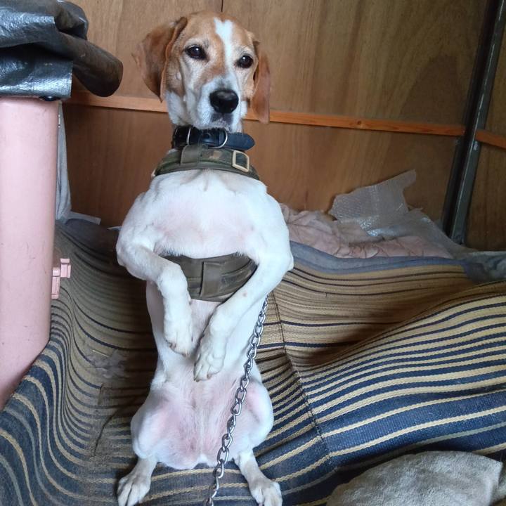 6a103bae 42ce 4e2d b5cf 8b36d009dd22 1719059969975