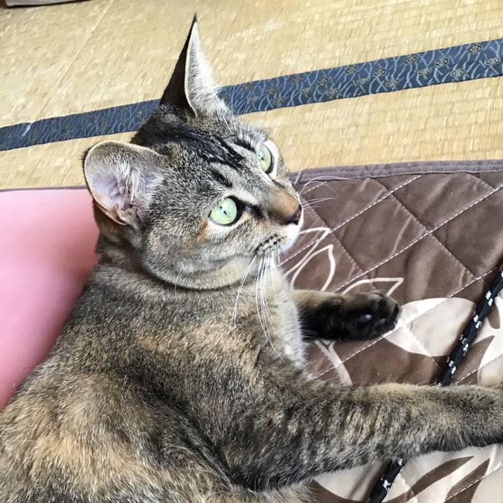 6a105000 60dc 4e78 8135 f1ecc90d8fe1 1585185542466