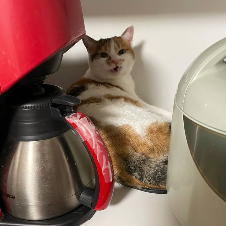 6a105442 1278 4b03 9003 39ab06f28107 1612451657946