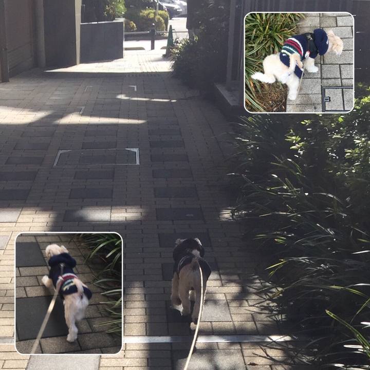 6a107259 db0d 48f0 b872 43336b4d8aca 1545048453598