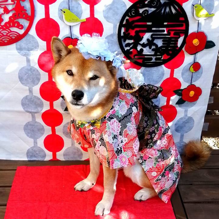 6a10c64d 87d2 4740 b4ef 85264490facc 1609567456384