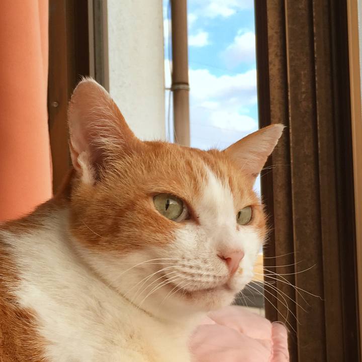 6a10d151 b4d1 4f09 a8d5 5e644f358f4c 1568690474396