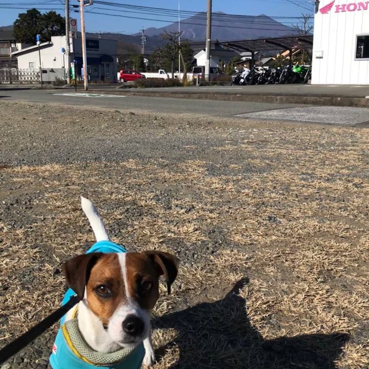 6a10dcba dc92 4903 8c23 510dcb9a260e 1543717873924