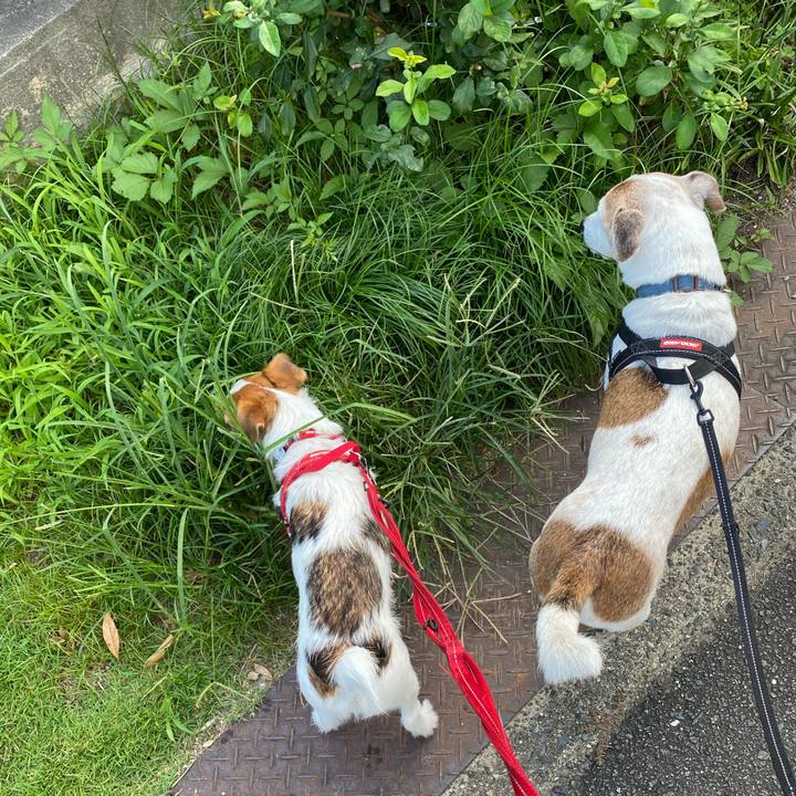 6a10fc16 36fd 4096 b880 cf5e6c418f10 1626731898558