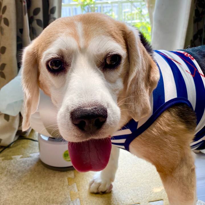 6a10fc73 2d54 4b68 a25c 047be0b292b9 1593402587180