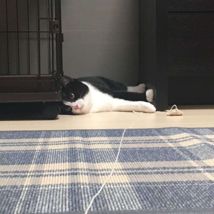 6a110254 5001 4e23 bb2c 7c1475790b80 1535061311918