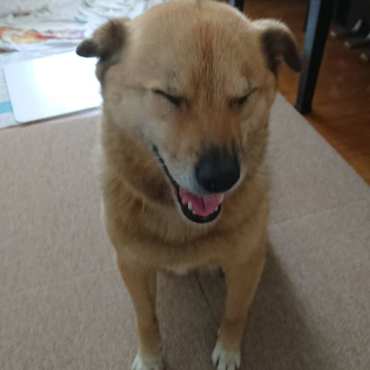 6a110a8d a09e 4c52 8b49 1e512f59c9d6 1627395906406