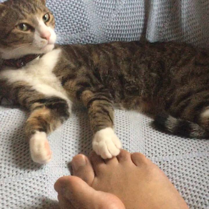 6a110ae3 bdc7 4505 a0a7 938ee509b775 1680227992962