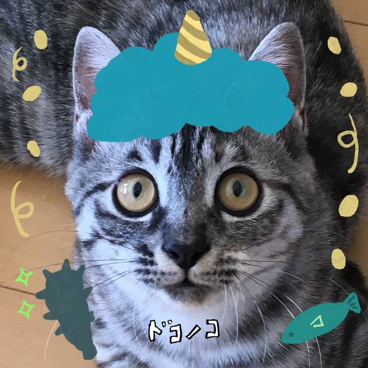 6a112ae1 7098 4a6e ad2e 7fb25aecc843 1706923165837